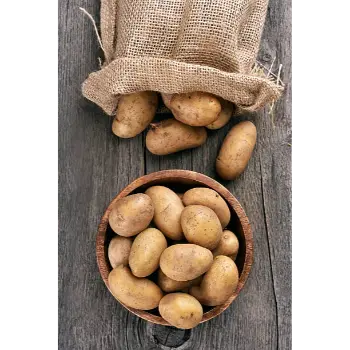 potato (9)-5599343-38072.webp